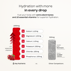 Sugar-Free Electrolyte Recovery Powder