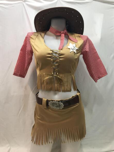 Cowboy Pirate Costume