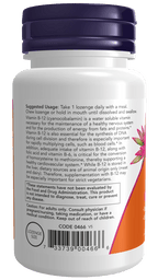 Vitamin B-12 Lozenges — 1,000 mcg, 250 Count