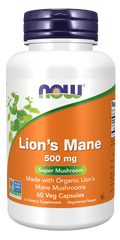 Lion’s Mane Supplement — 500 mg