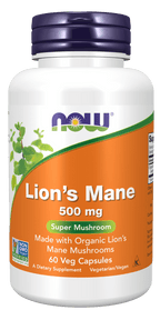 Lion’s Mane Supplement — 500 mg