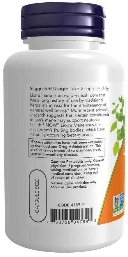 Lion’s Mane Supplement — 500 mg