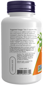 Lion’s Mane Supplement — 500 mg