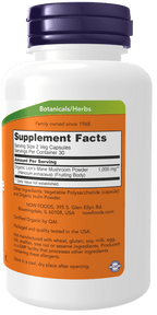 Lion’s Mane Supplement — 500 mg