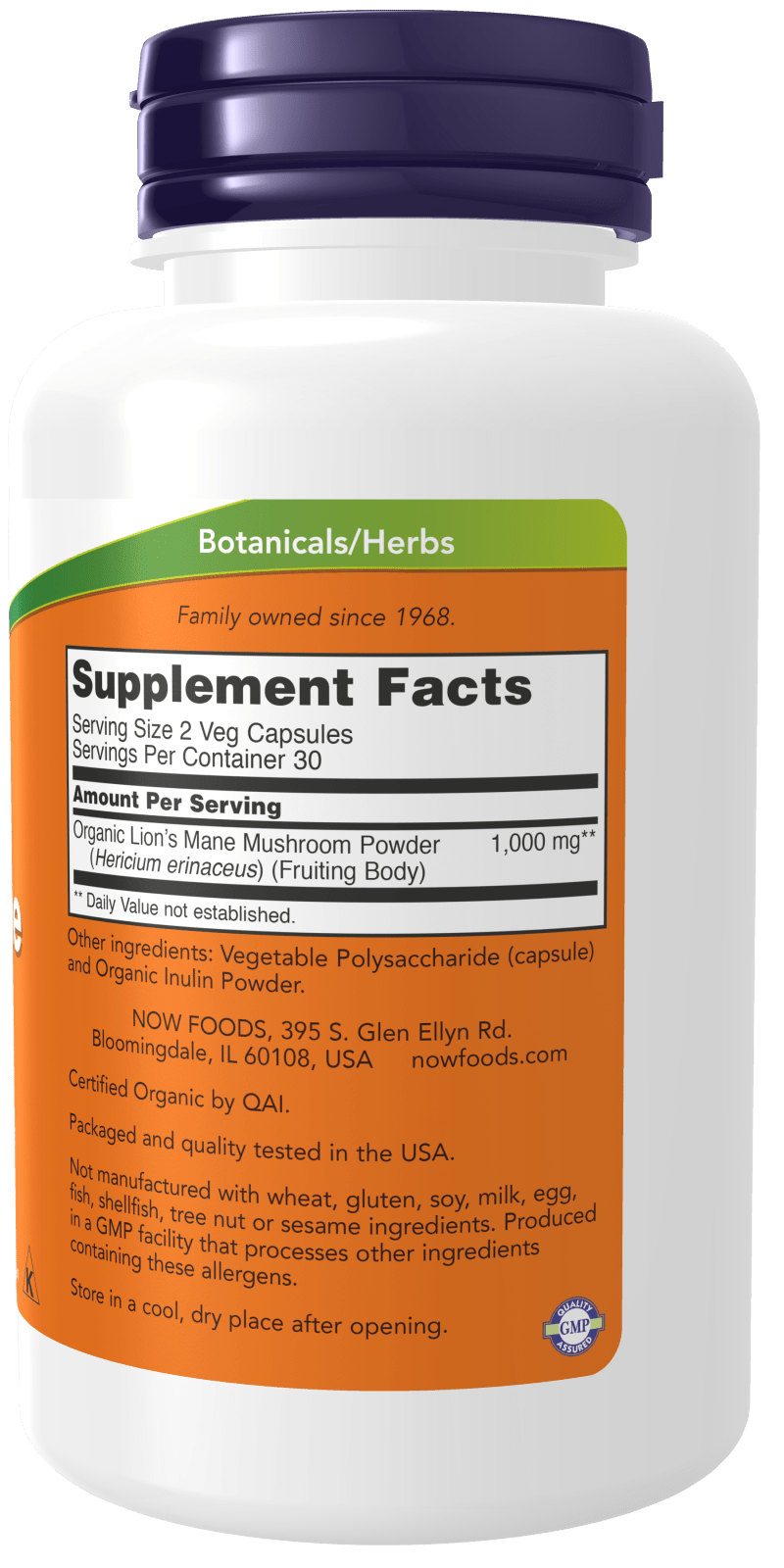 Lion’s Mane Supplement — 500 mg