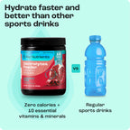 Sugar-Free Electrolyte Recovery Powder