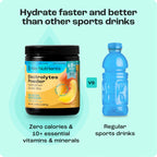 Sugar-Free Electrolyte Recovery Powder